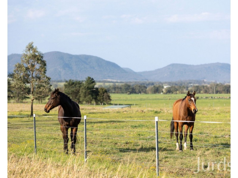 448 Standen Drive, Lower Belford NSW 2335