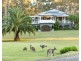 64 Tuckers Lane, North Rothbury NSW 2335