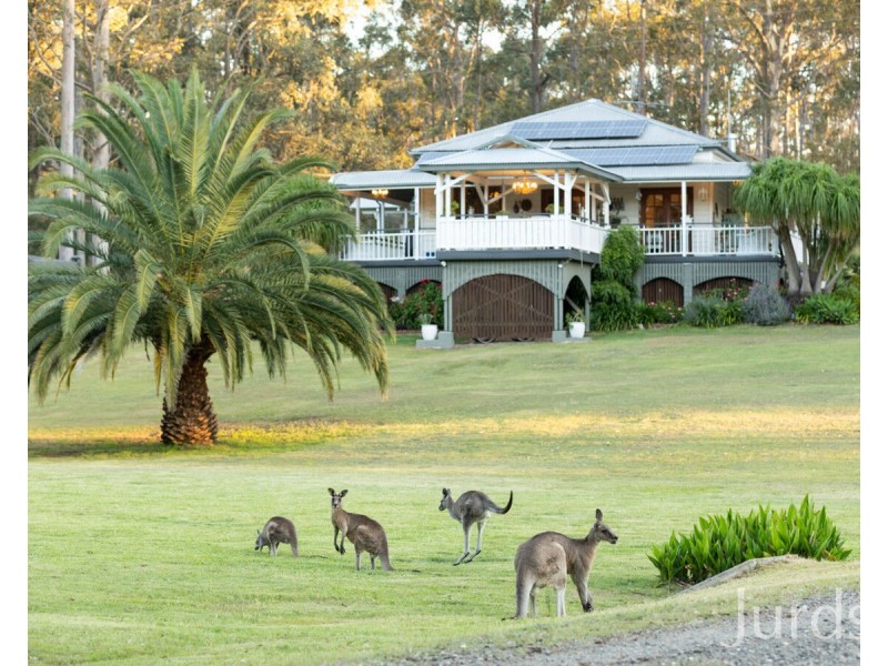 64 Tuckers Lane, North Rothbury NSW 2335