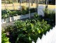 64 Tuckers Lane, North Rothbury NSW 2335