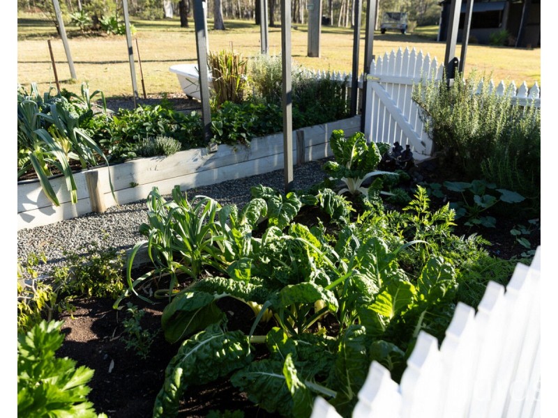 64 Tuckers Lane, North Rothbury NSW 2335