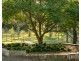 64 Tuckers Lane, North Rothbury NSW 2335