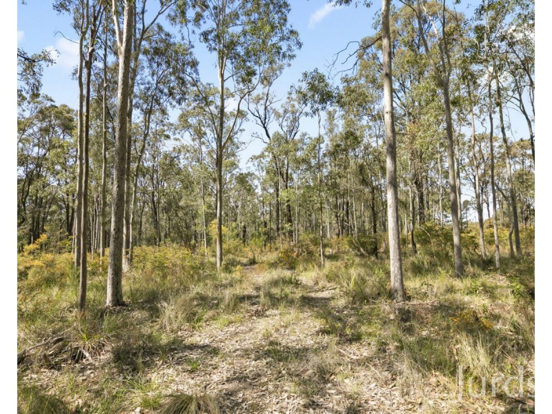 1509 Broke Road, Pokolbin NSW 2320