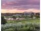 8 Loch Katrine Drive, Lochinvar NSW 2321