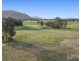 919 Milbrodale Road, Broke NSW 2330