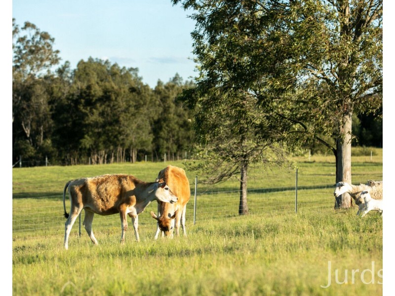 2C Nelson Street, Greta NSW 2334