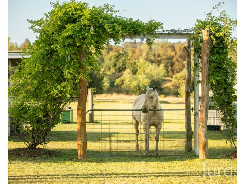 2C Nelson Street, Greta NSW 2334