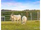 2C Nelson Street, Greta NSW 2334