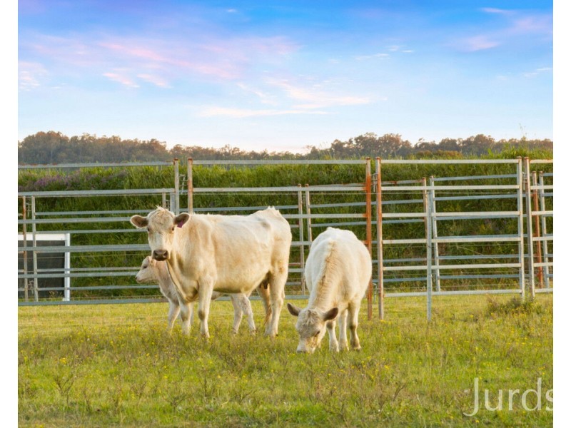 2C Nelson Street, Greta NSW 2334