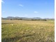 448 Standen Drive, Lower Belford NSW 2335