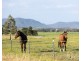 448 Standen Drive, Lower Belford NSW 2335