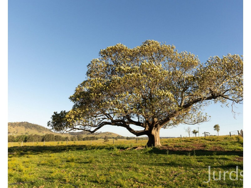 42 Durham Street, Gosforth NSW 2320