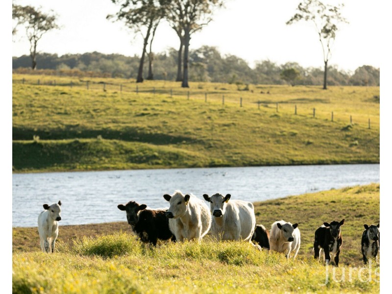 42 Durham Street, Gosforth NSW 2320