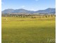 529 Luskintyre Road, Luskintyre NSW 2321