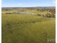 529 Luskintyre Road, Luskintyre NSW 2321