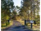 529 Luskintyre Road, Luskintyre NSW 2321