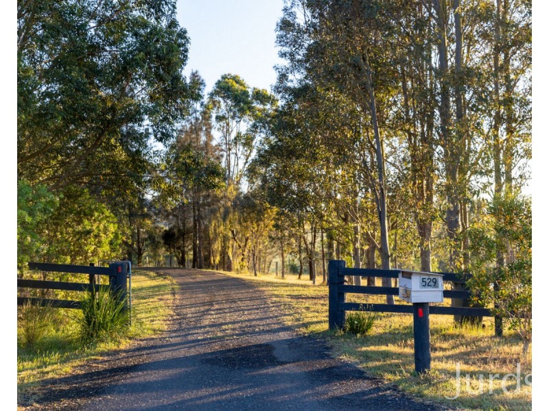 529 Luskintyre Road, Luskintyre NSW 2321