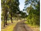 529 Luskintyre Road, Luskintyre NSW 2321