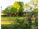 529 Luskintyre Road, Luskintyre NSW 2321