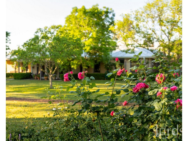 529 Luskintyre Road, Luskintyre NSW 2321