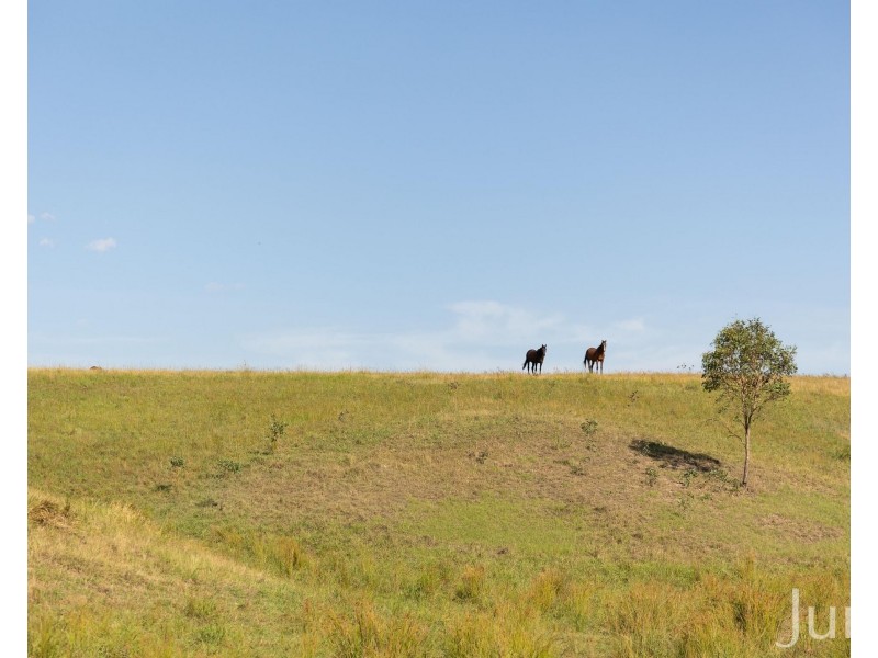 232C Fernhill Road, Dalwood NSW 2335