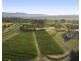 110 Old North Road, Pokolbin NSW 2320