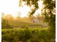 110 Old North Road, Pokolbin NSW 2320