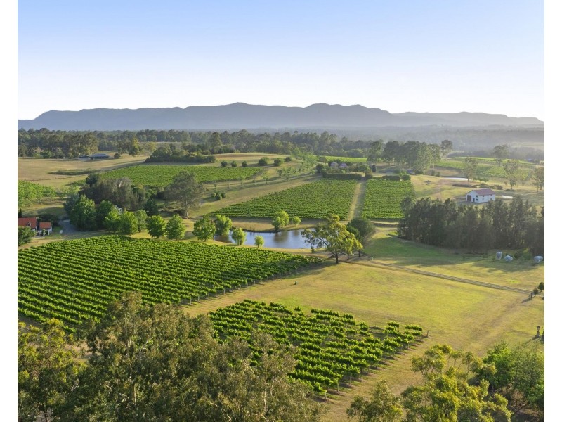 110 Old North Road, Pokolbin NSW 2320