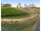110 Old North Road, Pokolbin NSW 2320