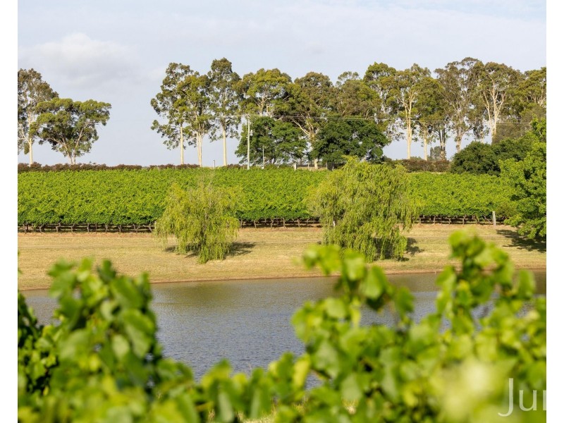 110 Old North Road, Pokolbin NSW 2320