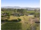 110 Old North Road, Pokolbin NSW 2320