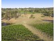 110 Old North Road, Pokolbin NSW 2320