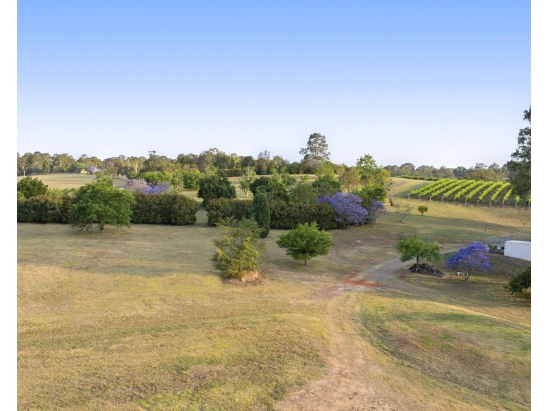110 Old North Road, Pokolbin NSW 2320