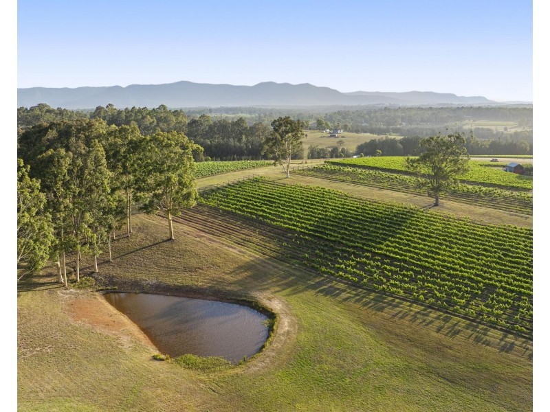 110 Old North Road, Pokolbin NSW 2320
