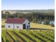 110 Old North Road, Pokolbin NSW 2320
