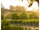 110 Old North Road, Pokolbin NSW 2320