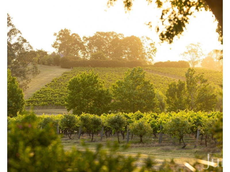 110 Old North Road, Pokolbin NSW 2320