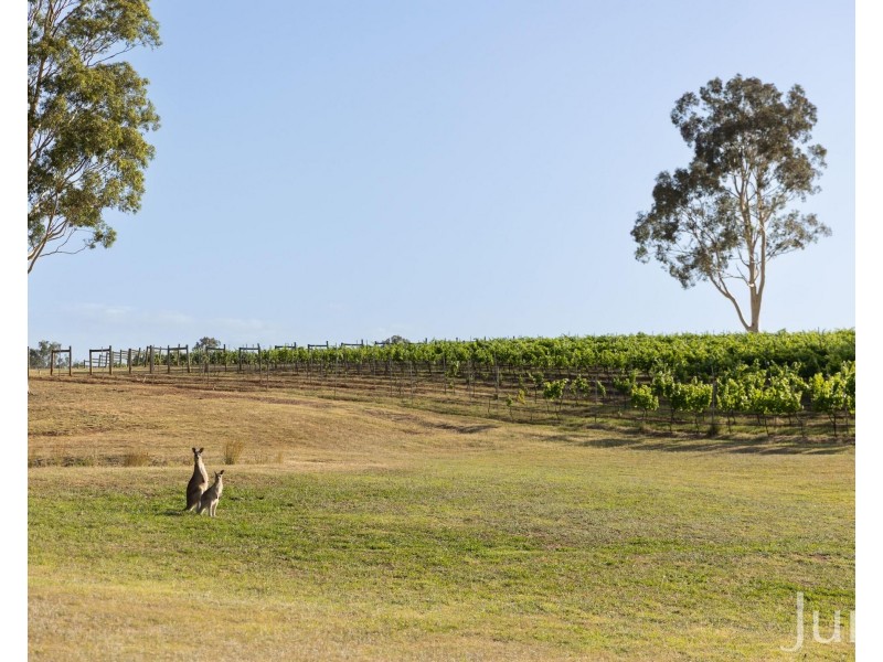 110 Old North Road, Pokolbin NSW 2320