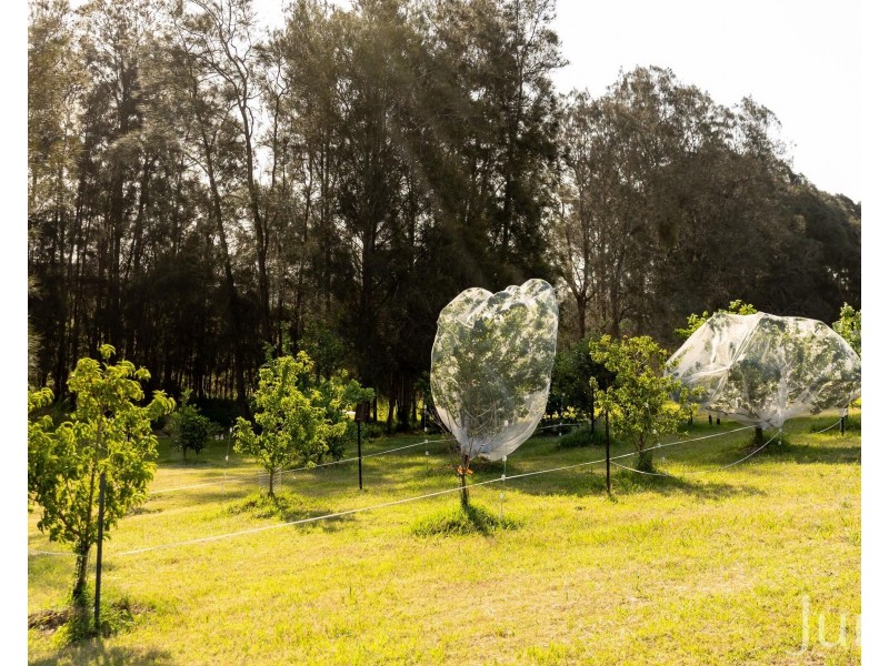 110 Old North Road, Pokolbin NSW 2320