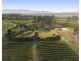110 Old North Road, Pokolbin NSW 2320
