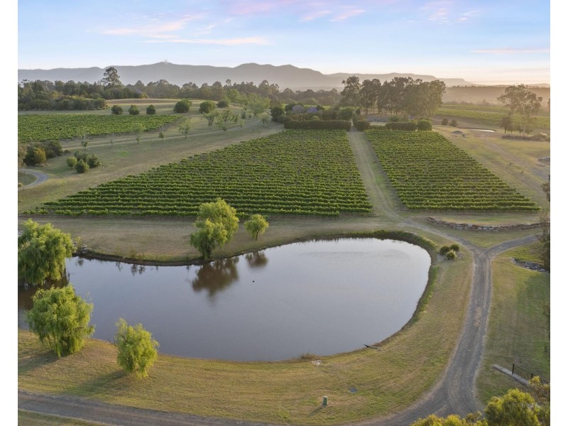 110 Old North Road, Pokolbin NSW 2320