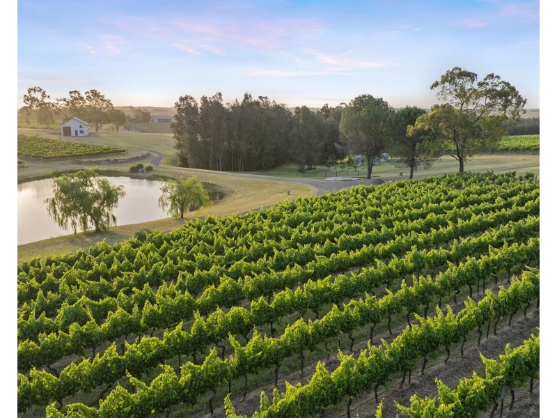 110 Old North Road, Pokolbin NSW 2320