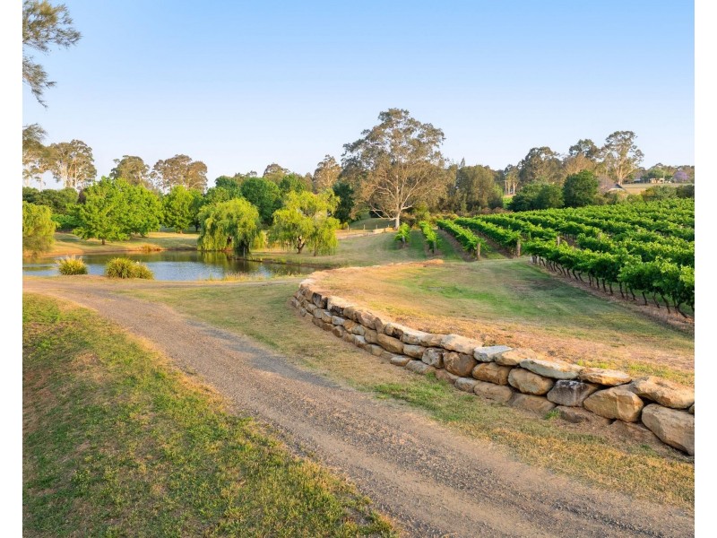 110 Old North Road, Pokolbin NSW 2320