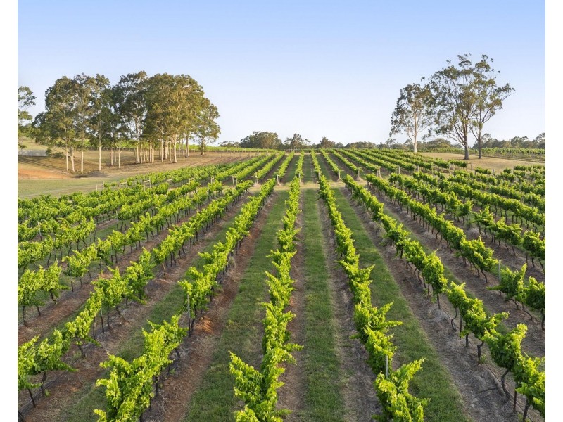 110 Old North Road, Pokolbin NSW 2320