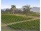 110 Old North Road, Pokolbin NSW 2320