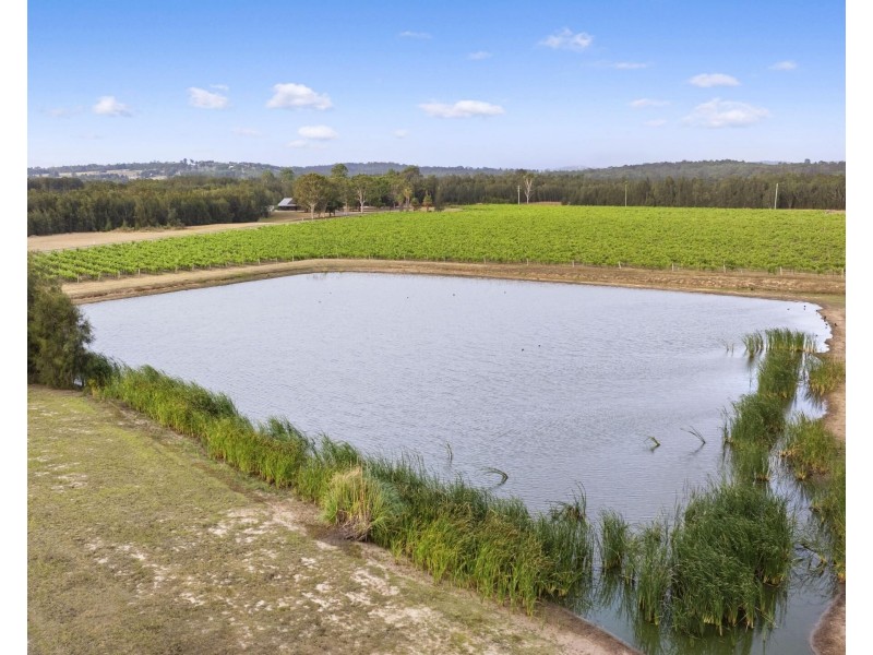 223 Deasys Road, Pokolbin NSW 2320