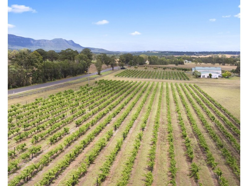 223 Deasys Road, Pokolbin NSW 2320