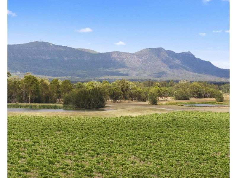223 Deasys Road, Pokolbin NSW 2320