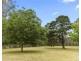 Lot 221, 1491 Old Maitland Road, Sawyers Gully NSW 2326