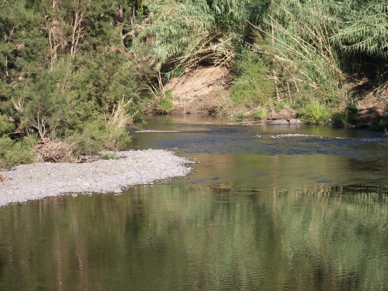 194 Clements Road, East Gresford NSW 2311